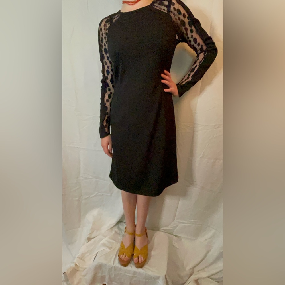 Philosophy lace long sleeved dress with solid bodice.